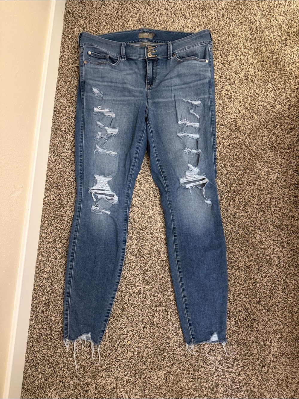Torrid Jegging 16 Tall